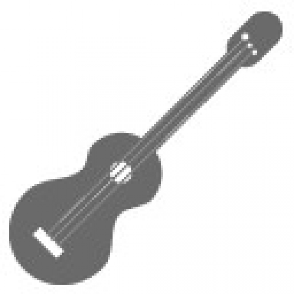 Acoustic Guitars - Icon